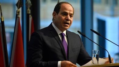 السيد الرئيس عبد الفتاح السيسي
