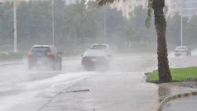 أمطار خفيفة مع رياح وصواعق رعدية في الرياض والدرعية