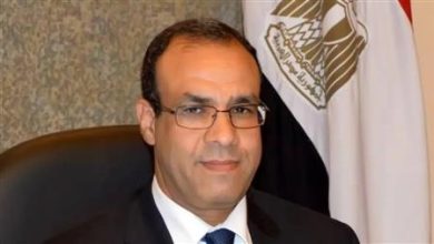 وزير الخارجيه بدر عبدالعاطى