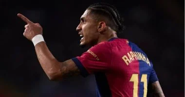 رافينيا
