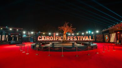 مهرجان القاهرة السينمائي