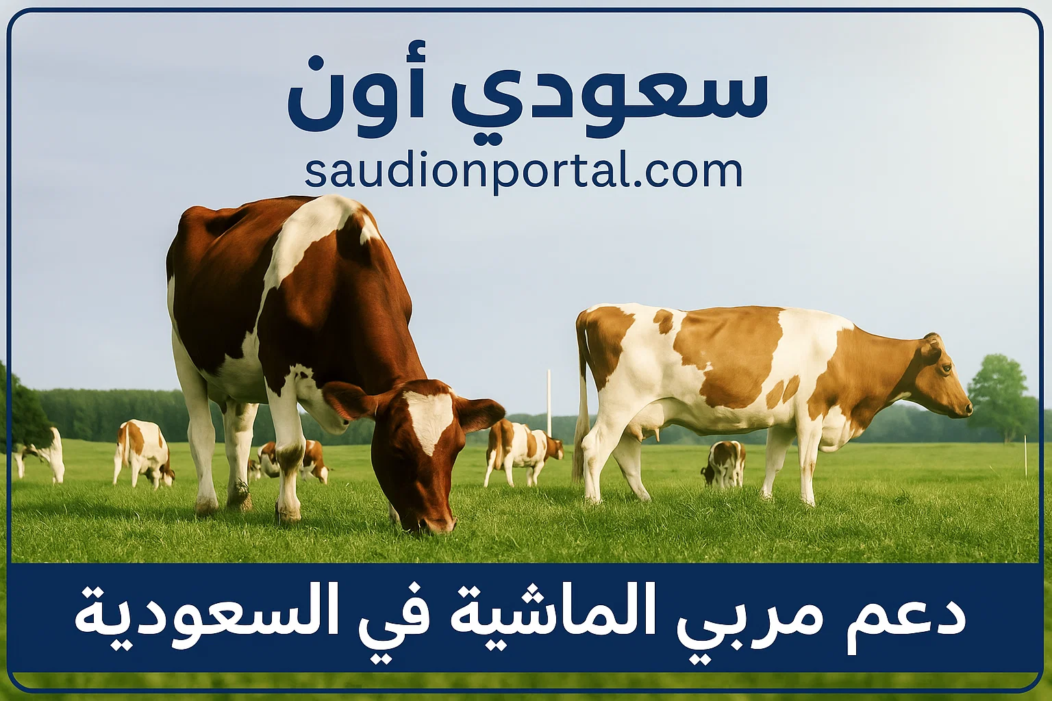 الصورة الرئيسية للمقال: عبر منصة أنعام | شروط الحصول على دعم المواشي في السعودية وطريقة التسجيل 2025