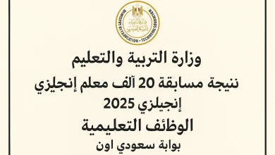 jobs.caoa.gov.eg