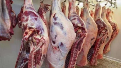 أسعار اللحوم الحمراء