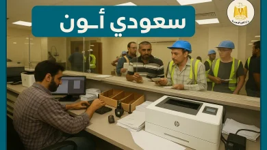 الاستعلام عن منحة العمالة غير المنتظمة 2025