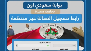 الاستعلام عن منحة العمالة غير المنتظمة