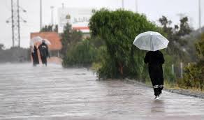 الأمطار الرعدية والسيول