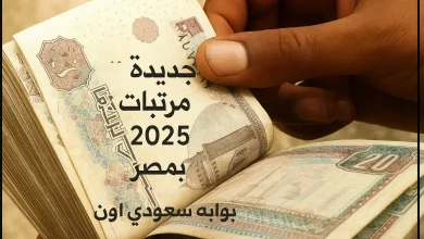 زيادة المرتبات 2025