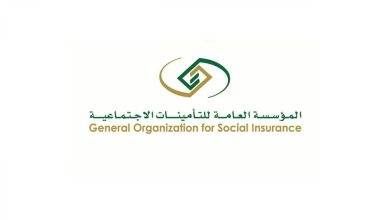 معايير العمالة المنزلية المانعة لاستحقاق المعاش