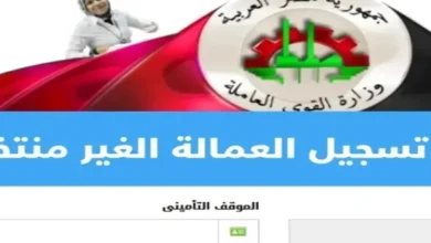 منحة العماله الغير منتظمة