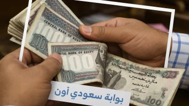 مواعيد صرف معاشات شهر مايو 2025
