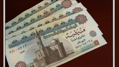 هيئة التأمينات الاجتماعية