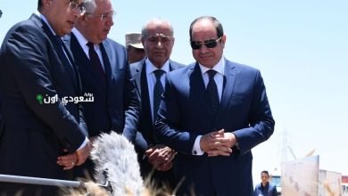السيسي يحضر فعاليات موسم حصاد القمح