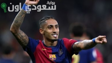 رافينيا