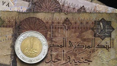 الجنيه المصري
