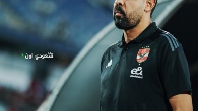 عماد النحاس