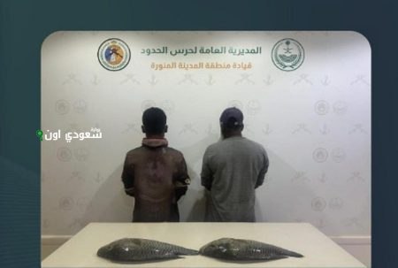 حرس الحدود في المدينة المنورة يلاحق مقيمين أثبتت مخالفتهما لممارسة الصيد دون تصريح