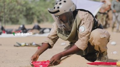 فريق «مسام» يتمكن من إزالة 1095 لغماً