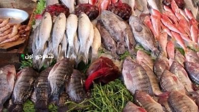 أسعار الأسماك اليوم