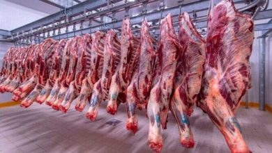 أسعار اللحوم الحمراء اليوم