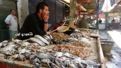 اسعار الجمبري والكابوريا اليوم