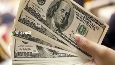 تتبع سعر الدولار في مصر اليوم