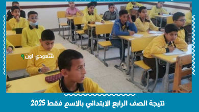 نتيجة الصف الرابع الابتدائي بالاسم فقط 2025