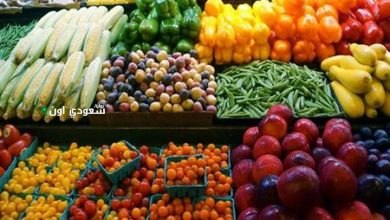 دليلك الشامل لاسعار الفاكهة الطازجة في سوق العبور