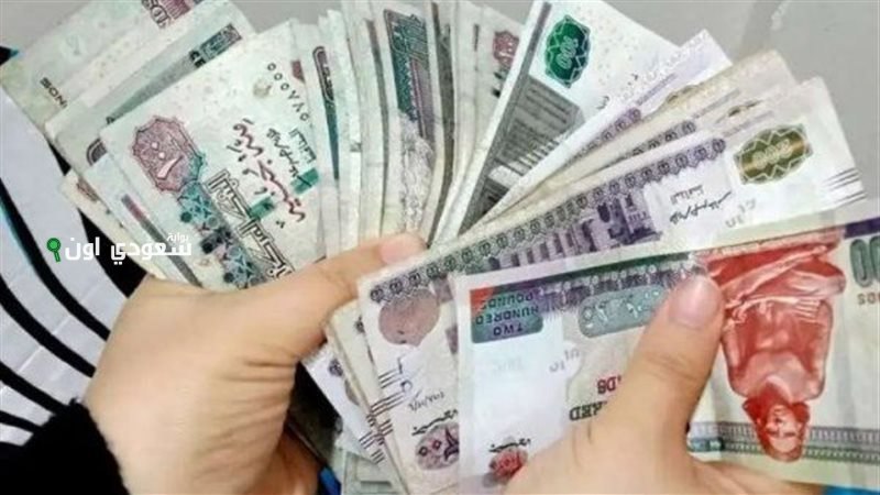 زيادة المعاشات في مصر