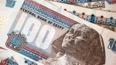 صرف منحة العمالة 1500 جنيه يبدأ رسميًا بعد التحديث الحكومي الجديد 2025