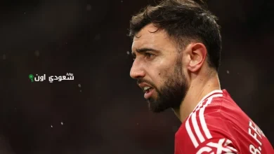 فيرنانديز