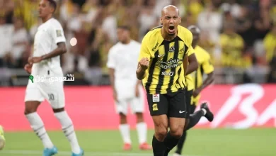 فابينو