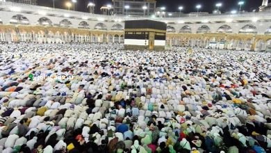 ضيوف خادم الحرمين