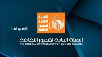 برنامج مصر جميلة في أسوان واحتفال بمسيرة محمد سلماوي ومهرجان فرق الأقاليم المسرحية