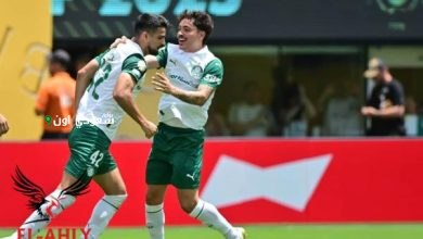ماوريسيو، نجم نادي بالميراس البرازيلي