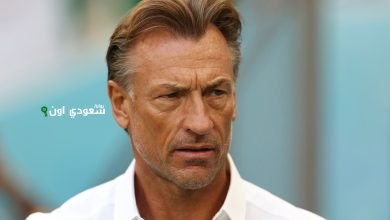 هيرفي رينارد