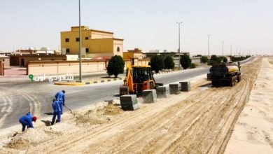 زراعة اشجار في المدينة المنورة
