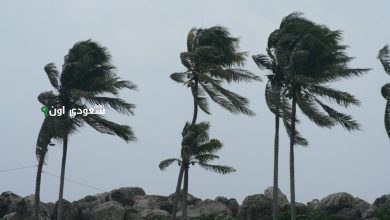 أتربة مثارة في محافظات مكة