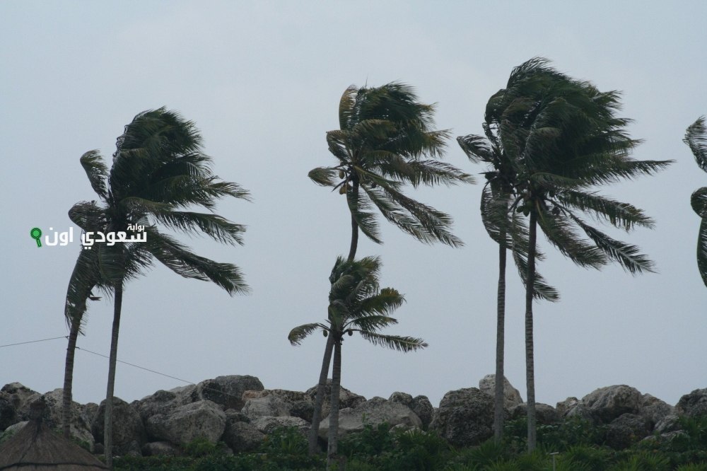 أتربة مثارة في محافظات مكة
