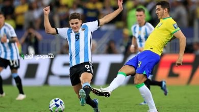البرازيل والأرجنتين
