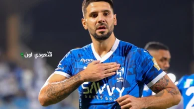 ميتروفيتش