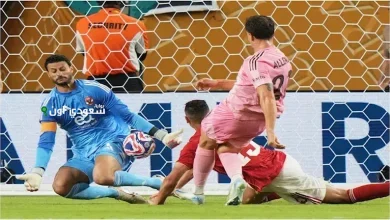 الشناوي