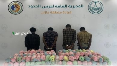 ضبط شبكة مروجين ومهربين للمخدرات