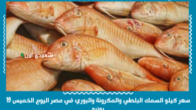 سعر كيلو السمك البلطي والمكرونة والبوري في مصر اليوم الخميس 19 يونيو