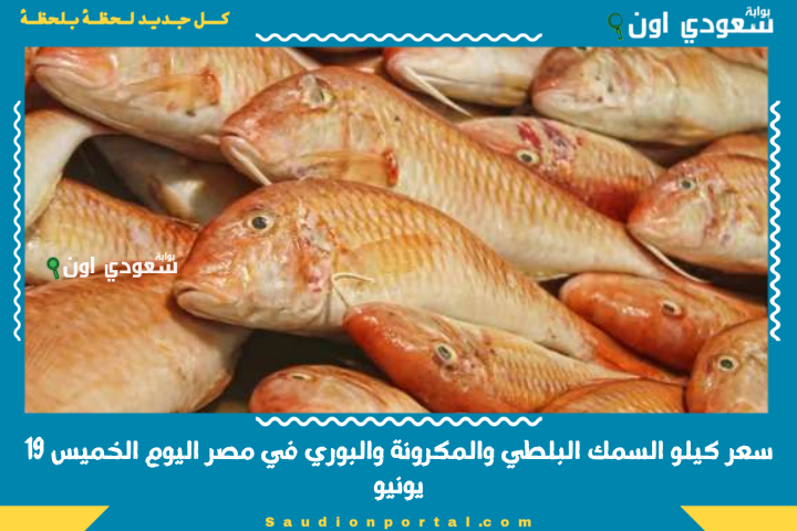 سعر كيلو السمك البلطي والمكرونة والبوري في مصر اليوم الخميس 19 يونيو