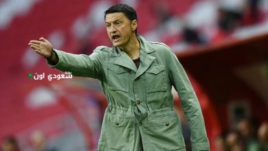 فلاديمير إيفيتش