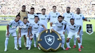 فريق بوتافوجو البرازيلي