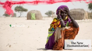 قصص إنسانية مؤثرة تعكس دعم الجاليات في الغربة بفخر ويد حانية