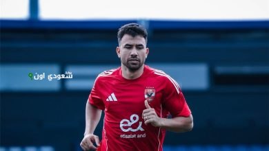 تريزيجيه