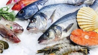 أسعار الأسماك في مصر اليوم